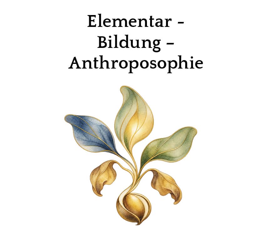 Elementar-Bilduing-Anthro